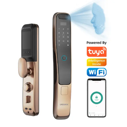 QA10_HUABAN-1-FUBEN-640-640.png